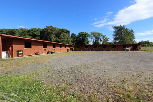 3 bed property