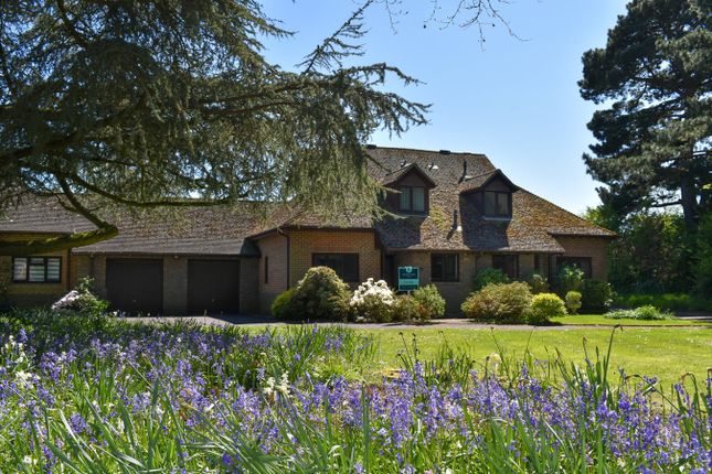 Woodley Gardens, Lymington, SO41 3 bed semi