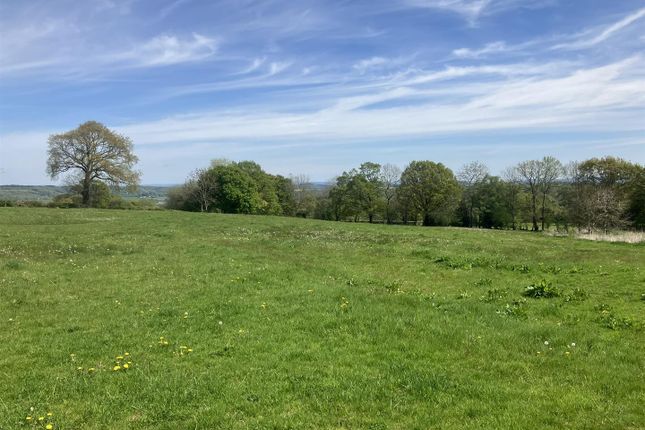 Farm land for sale