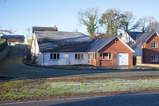 Perllan Dewi, Capel Dewi... 3 bed detached bungalow for sale