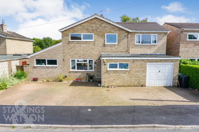 Elm Close, Norwich NR14 5 bed detached house for sale