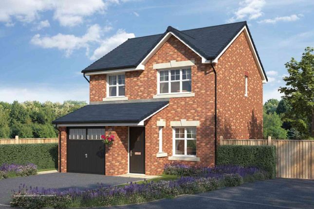 3 bed detached house