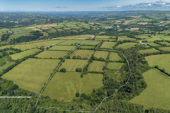Pantglas Farm, Pencader, SA39 Smallholding for sale
