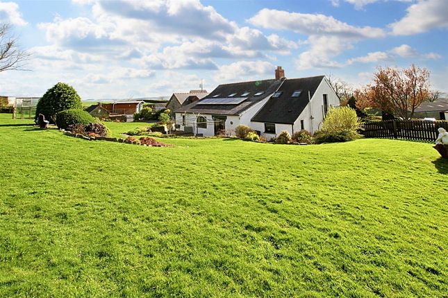 Henllan, Llandysul 9 bed property with land for sale