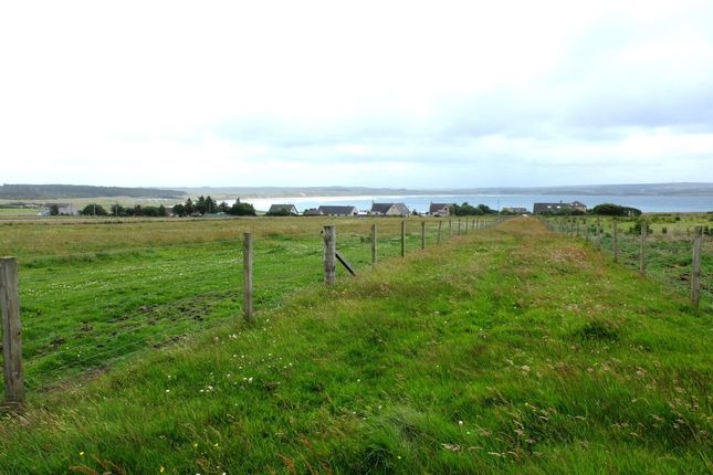 Dalmore Plot 1, Westside, Dunnet.... Land for sale