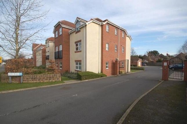 1 bed flat