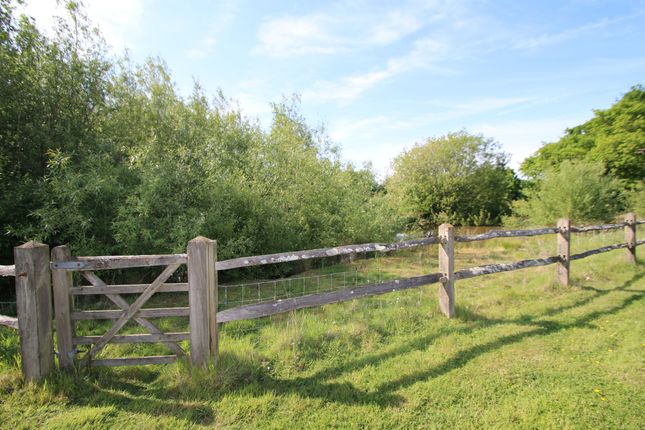 Plot for sale