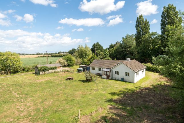 Green Lane, Bosham, PO18 3 bed detached bungalow for sale