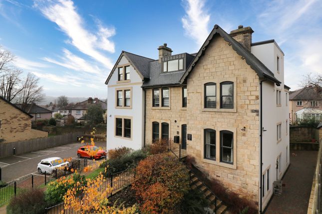 1 bed flat