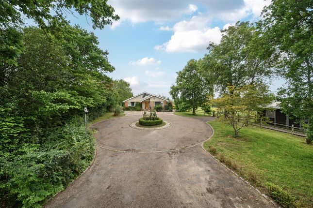 Stonehill, Chiddingly, Heathfield TN21 5 bed equestrian property for sale