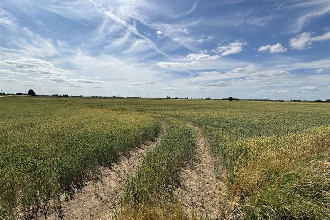 Edge Bank, Wisbech PE14 Farm land for sale