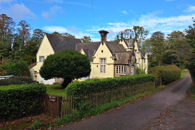 3 bed detached house
