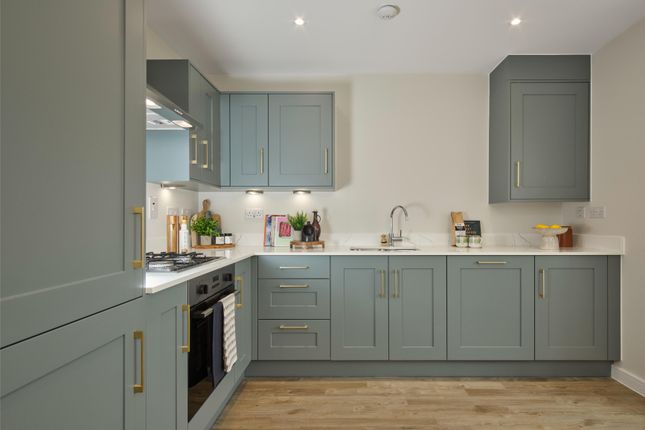 The Forger at Bellway at St James'... 3 bed semi