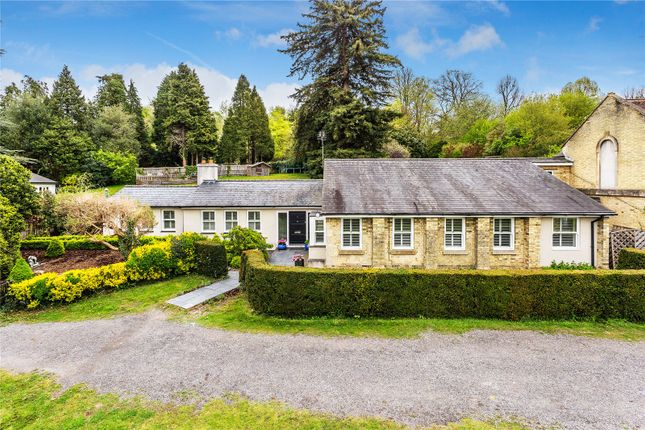 Downside Court, Downs Lane... 6 bed link detached house for sale
