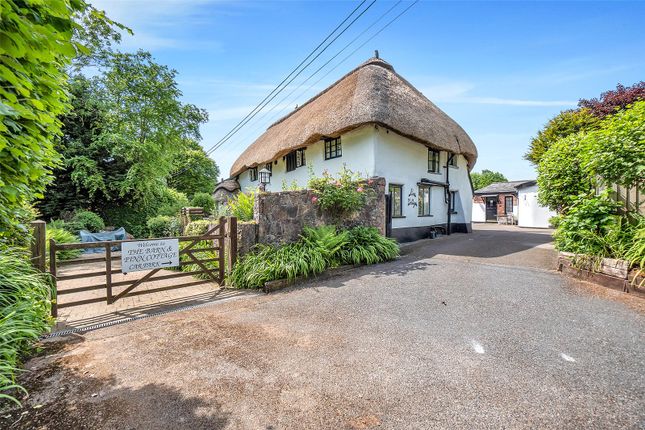 10 bedroom detached house for sale