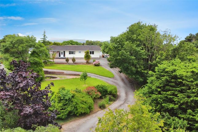5 bed bungalow