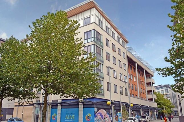 1 bed flat