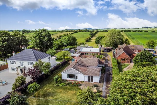 Equestrian facility for sale