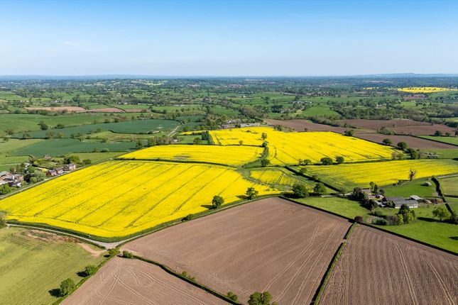 4 bedroom farm house for sale
