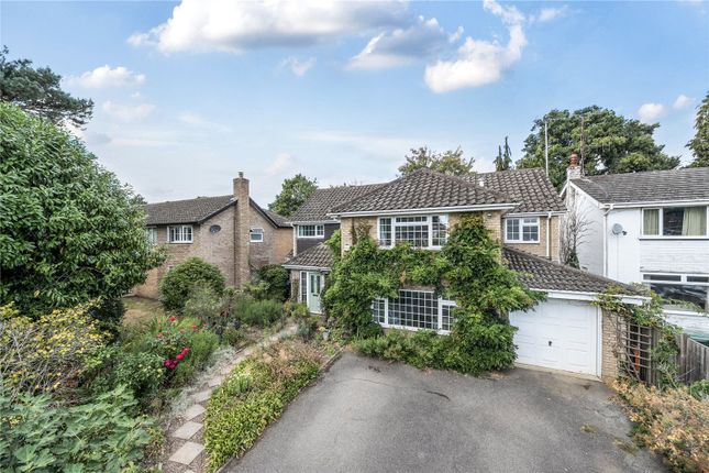 Shaftesbury Road, Woking, Surrey, GU22 5 bed detached house for sale