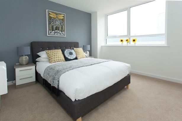 1 bed flat
