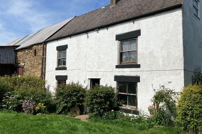 Hesley Lodge Farm, Thorpe Hesley... Equestrian property for sale