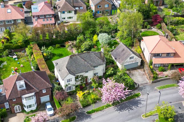 Stone Delf, Sheffield S10 4 bed detached house for sale