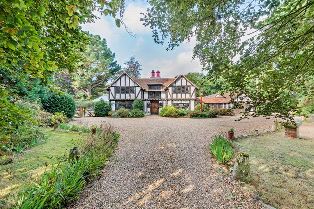 The Causeway, Great Horkesley... 4 bed equestrian property for sale