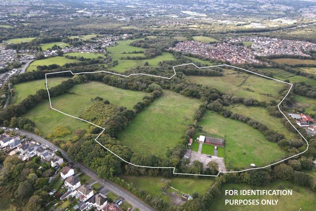 Birchgrove, Swansea, SA7 3 bed property with land for sale