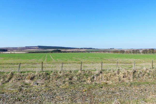 Land