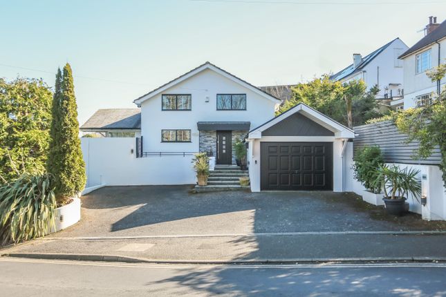 Withdean Road, Brighton, BN1 4 bed detached house for sale