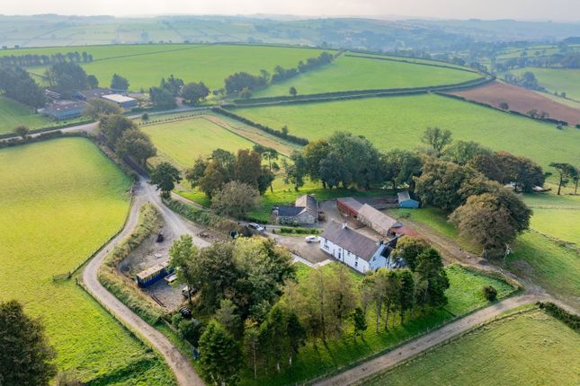 Talgarreg, Llandysul, SA44 7 bed property with land for sale
