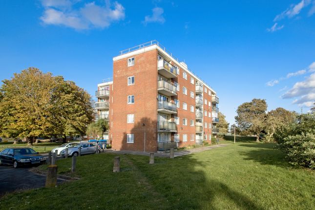 1 bed flat