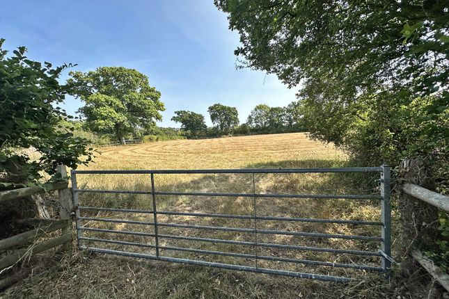 Lower Mead End Road, Sway, Lymington... Equestrian property for sale