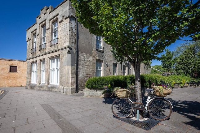 1 bed flat