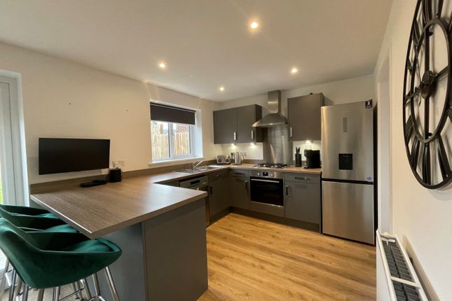 Cypress Point Grove, Newcastle upon... 3 bed detached house for sale