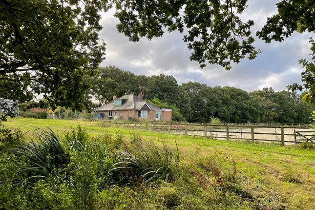 Poppinghole Lane, Robertsbridge, TN32 3 bed bungalow for sale