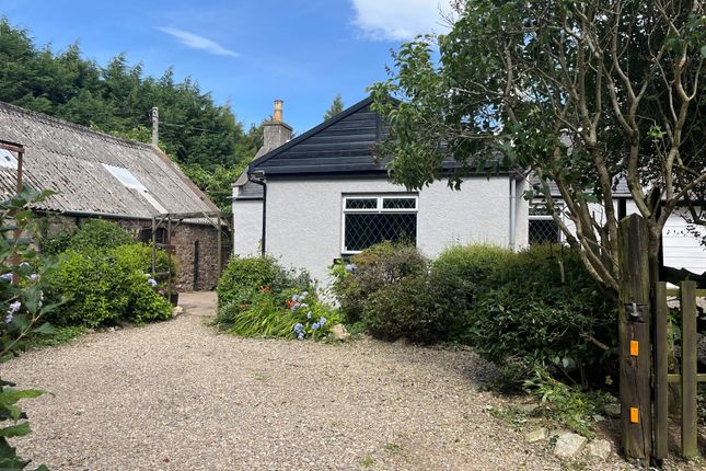3 bed equestrian