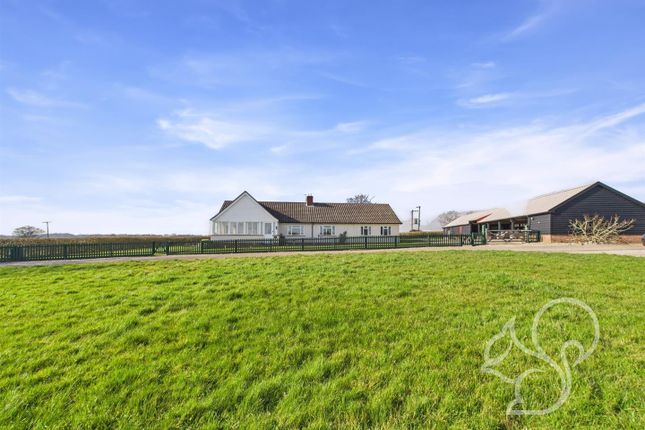 Base Green, Stowmarket IP14 6 bed house for sale