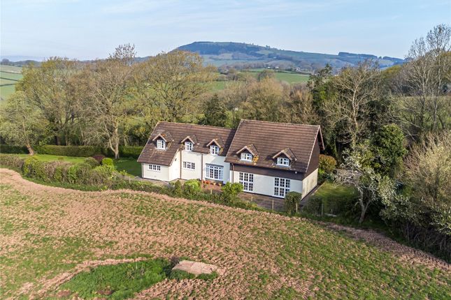 Newcastle, Monmouth, Monmouthshire, NP25 4 bed detached house for sale