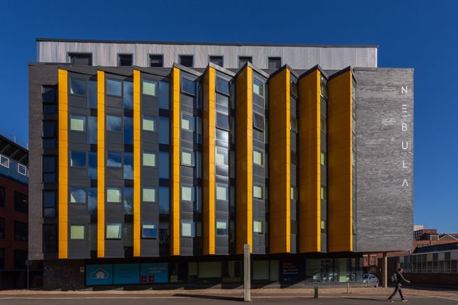 1 bed flat