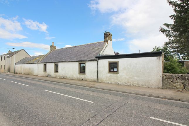2 bed detached bungalow