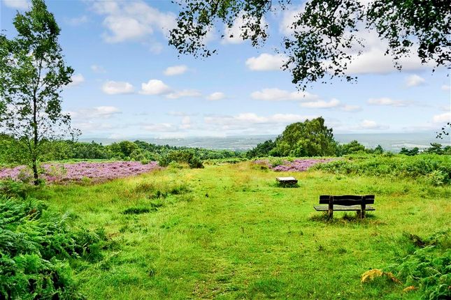The Orchards, Lewes Road, Ridgewood... 3 bed detached bungalow for sale