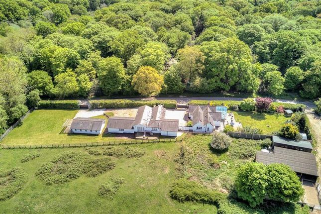 3 bed detached bungalow