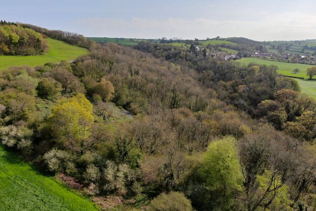 Near Wells, Somerset Property for sale