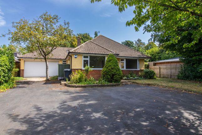 Little Acre, Bighton Lane, Gundleton... 3 bed detached bungalow for sale