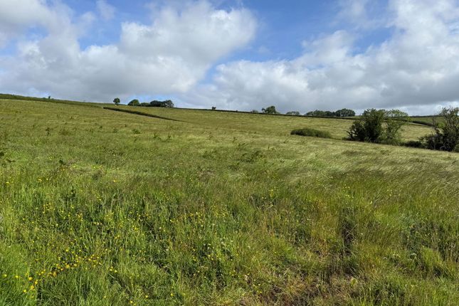 Land for sale