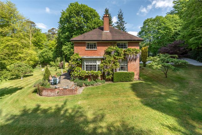 Sheephouse Lane, Abinger Common... 4 bed detached house for sale