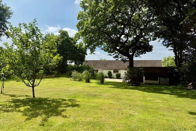 Shebbear, Beaworthy 3 bed bungalow for sale