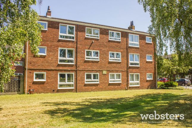 1 bed flat